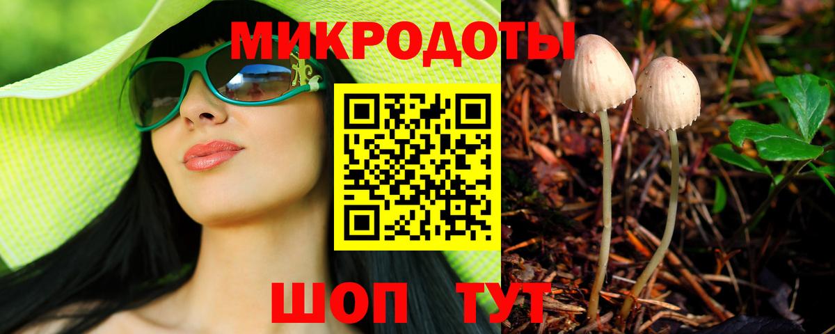 Псилоцибиновые грибы GOLDEN TEACHER  Вход с VPN  Астрахань  Галлюциногенные грибы GOLDEN TEACHER 
